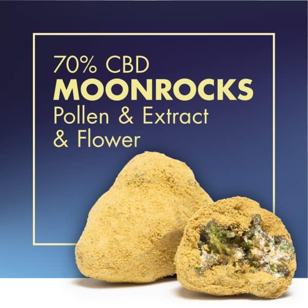 Buy MoonRocks CBD in Cannactiva, they represent the best in quality and potency